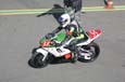 endurance Vigeant 20080155